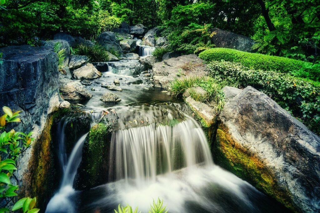 Wasseraufbereitung in der Natur